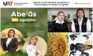 2FC013CB-60B2-4409-9E86-10E41BCB9DA8