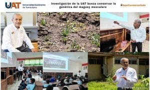 A431A513-163C-430F-85C3-61C747E2936A-compressed