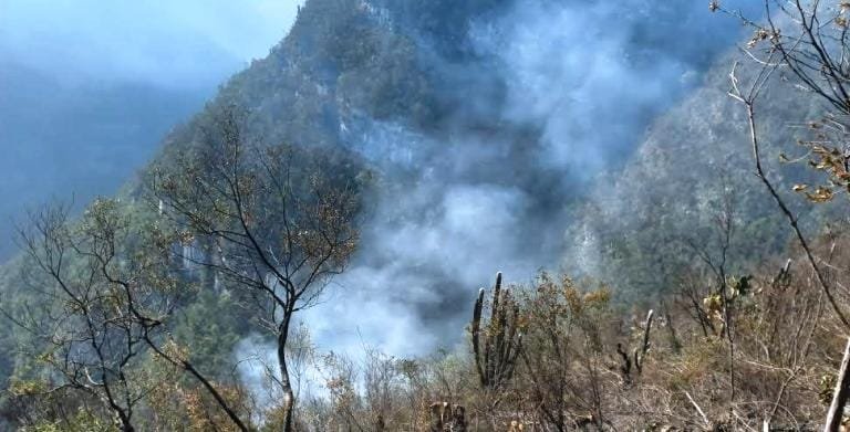 CPC-002-2023.-Continúa combate de incendios forestales (3)