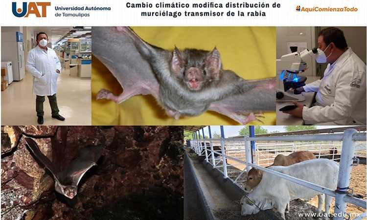 Cambio climático modifica distrib