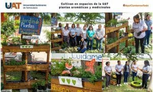 Cultivan en espacios de la UAT p