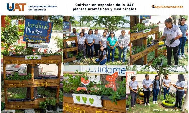 Cultivan en espacios de la UAT p