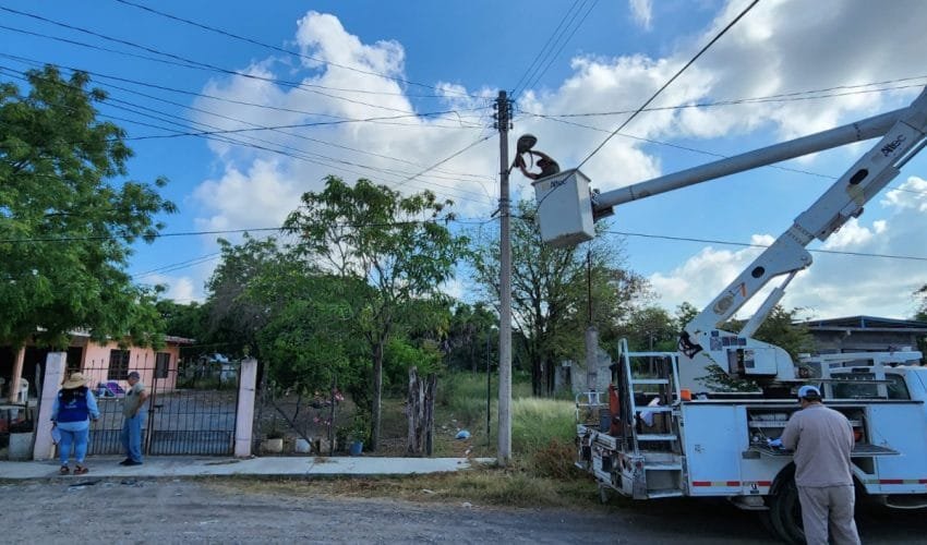 Intensa actividad se desarrolla en servici